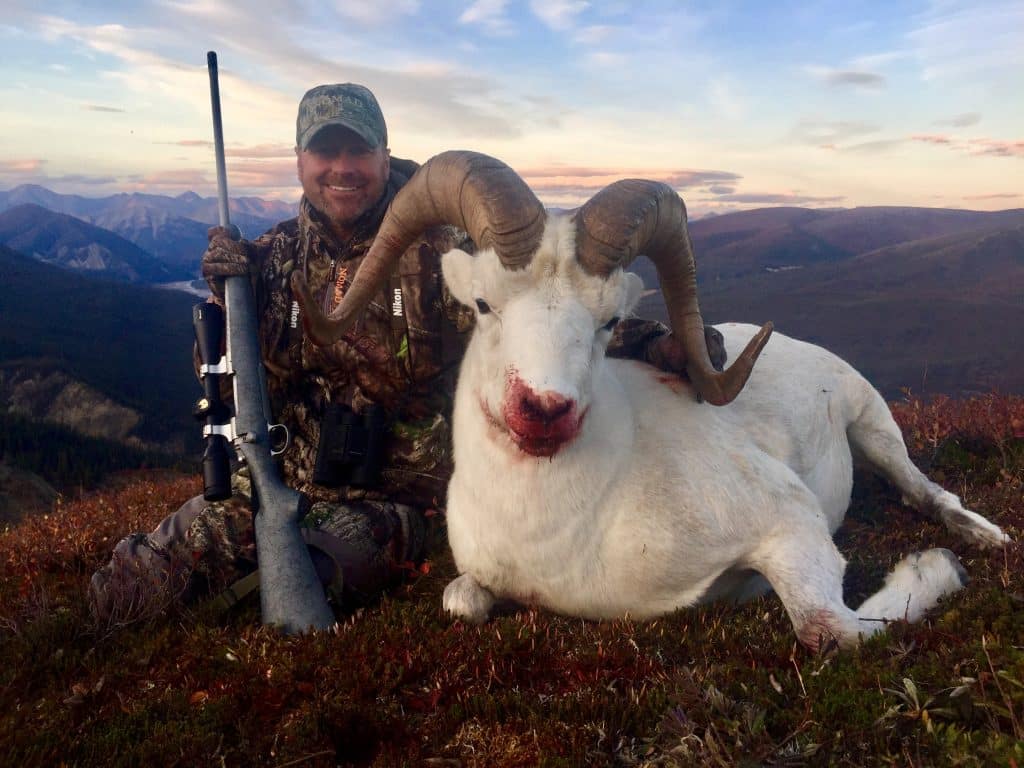 Guided-Hunting-Tours-Northwest-Territories-Canol-Outfitters-Dall-Sheep